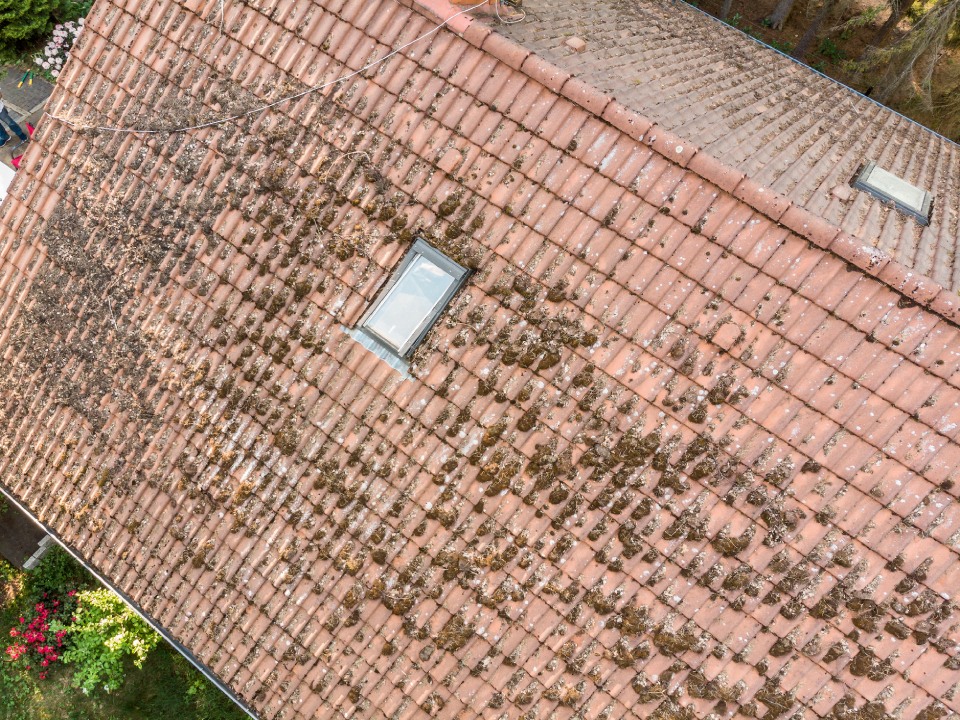 Roof view